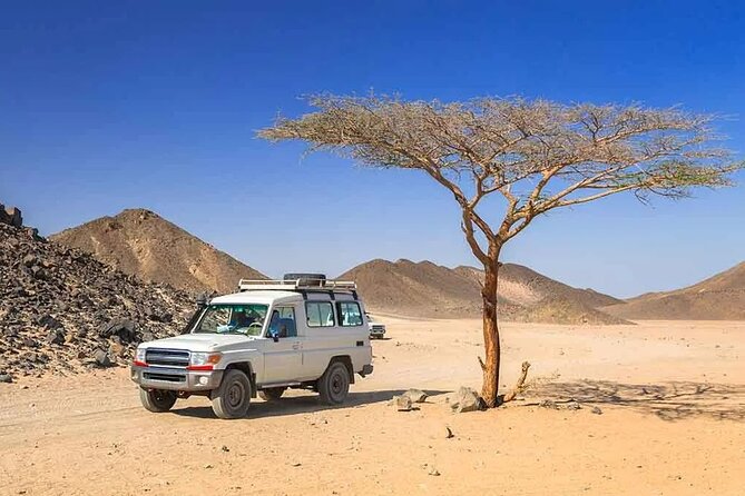 Hurghada: Safari 4x4 Jeep, Camel Ride, Dinner & Star Watching - Telescope Stargazing