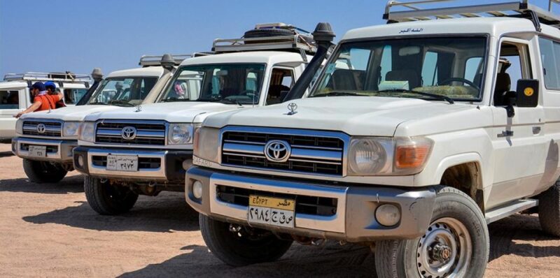 Hurghada: Safari Jeep, Buggy, Camel, Quad, Bedouin Dinner - Key Points