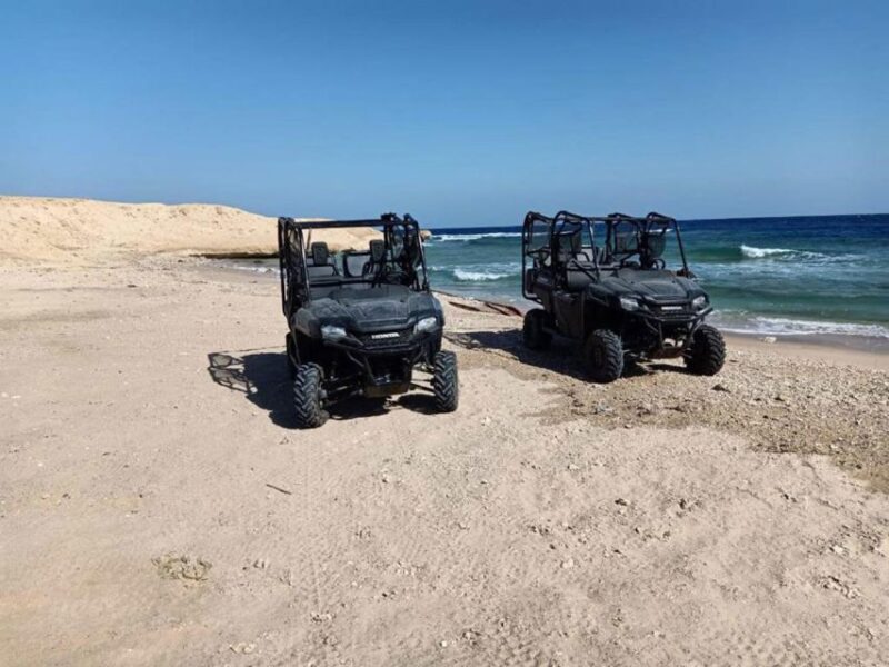 Hurghada: Sea and Mountains Quad or Buggy Family Tour - Customer Reviews and Ratings
