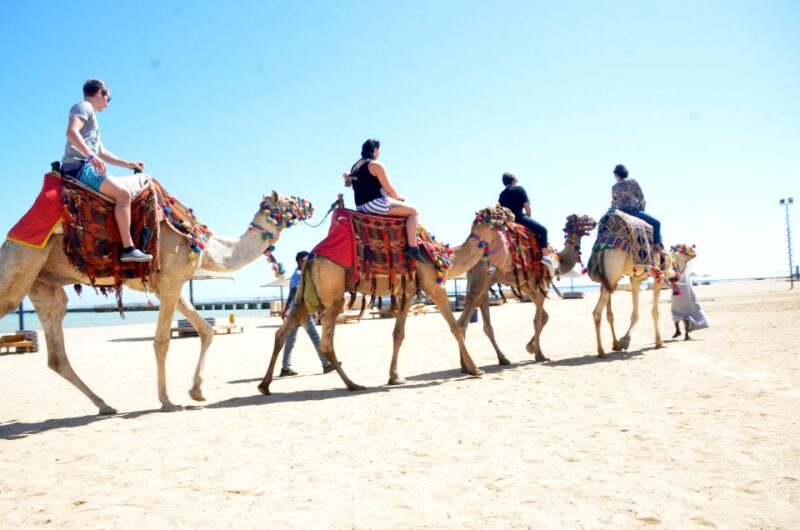Hurghada: Sea & Desert Camel Ride W/Dinner, Show, Stargazing - Highlights and Activities