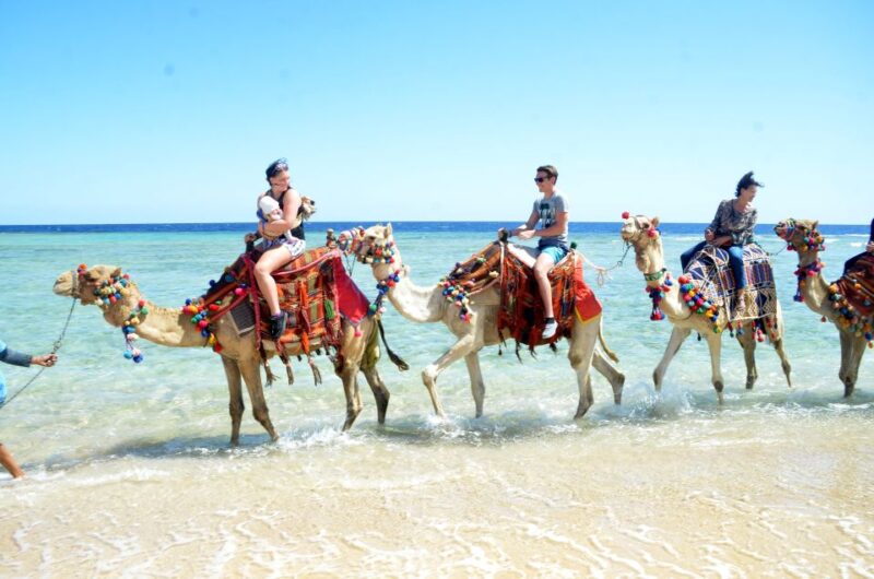 Hurghada: Sea & Desert Camel Ride W/Dinner, Show, Stargazing - Camel Ride Through Hurghada Desert