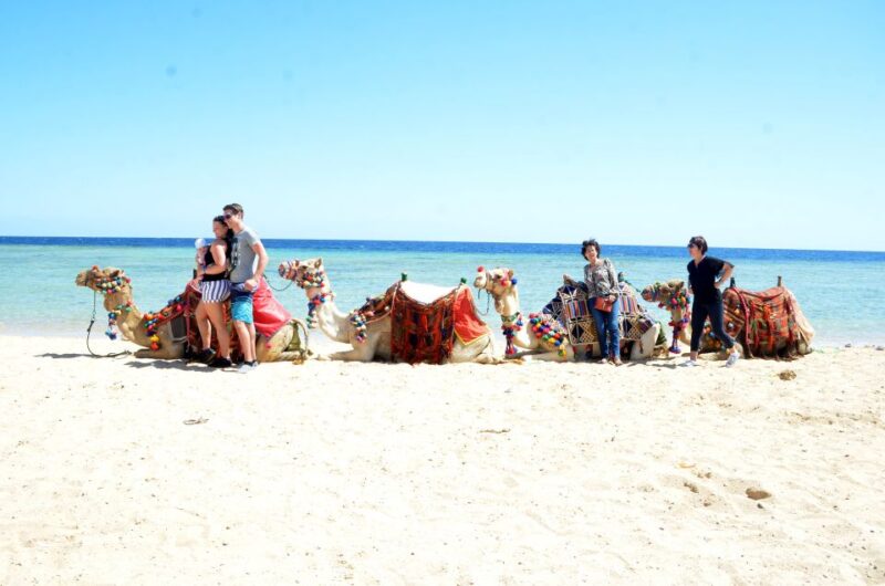 Hurghada: Sea & Desert Camel Ride W/Dinner, Show, Stargazing - Optional Dinner, Sunset, and Dance Show