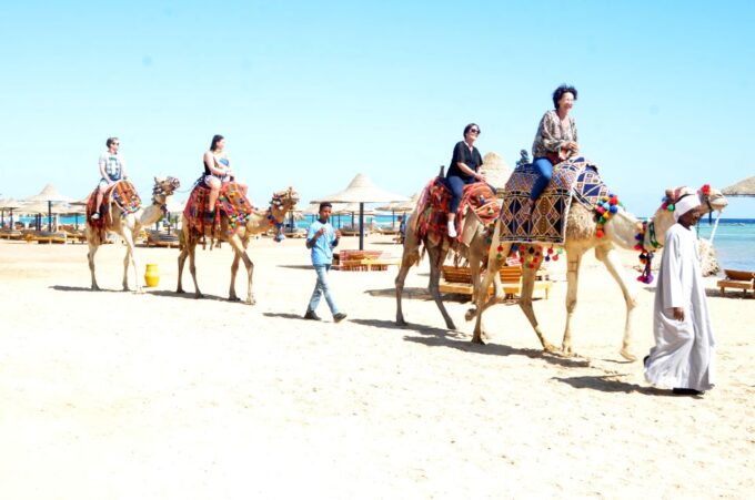 Hurghada: Sea & Desert Camel Ride W/Dinner, Show, Stargazing - Stargazing Under the Night Sky