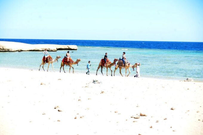 Hurghada: Sea & Desert Camel Ride W/Dinner, Show, Stargazing - Frequently Asked Questions