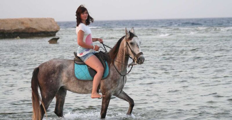 Hurghada: Sea & Desert Horse Tour, Stargazing, Dinner & Show - Key Points