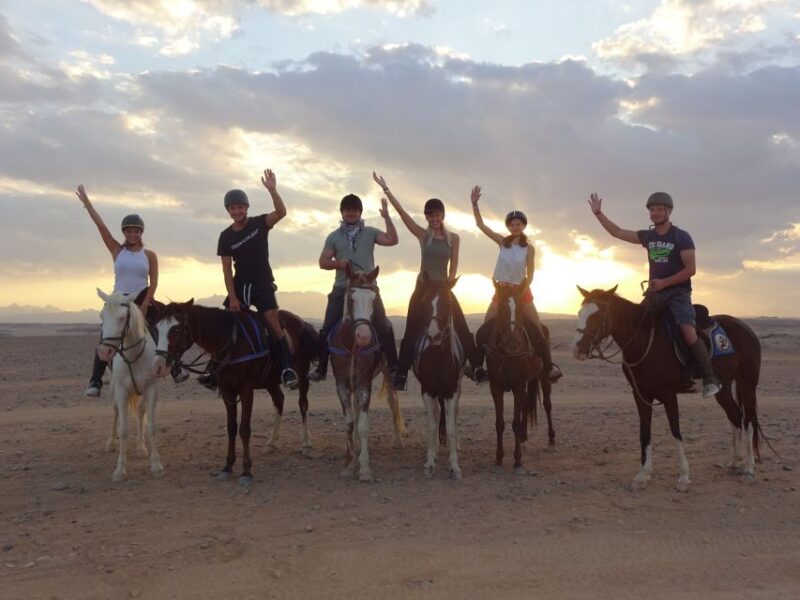 Hurghada: Sea & Desert Horse Tour, Stargazing, Dinner & Show - Highlights of the Experience