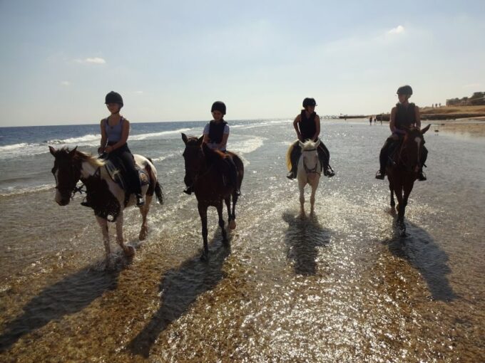 Hurghada: Sea & Desert Horse Tour, Stargazing, Dinner & Show - Transportation Provided