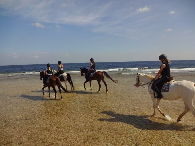 Hurghada: Sea & Desert Horse Tour, Stargazing, Dinner & Show - Additional Options Available