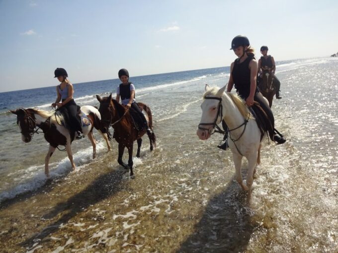 Hurghada: Sea & Desert Horse Tour, Stargazing, Dinner & Show - Frequently Asked Questions
