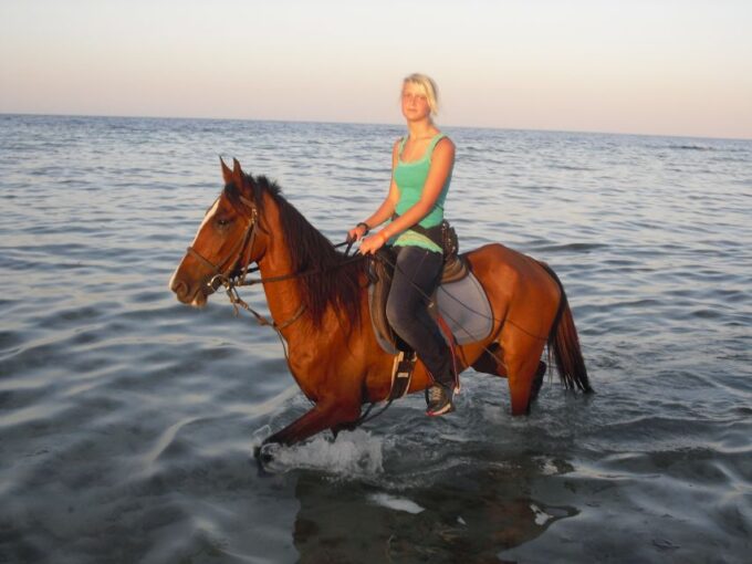 Hurghada: Sea & Desert Horse Tour, Stargazing, Dinner & Show - Transportation