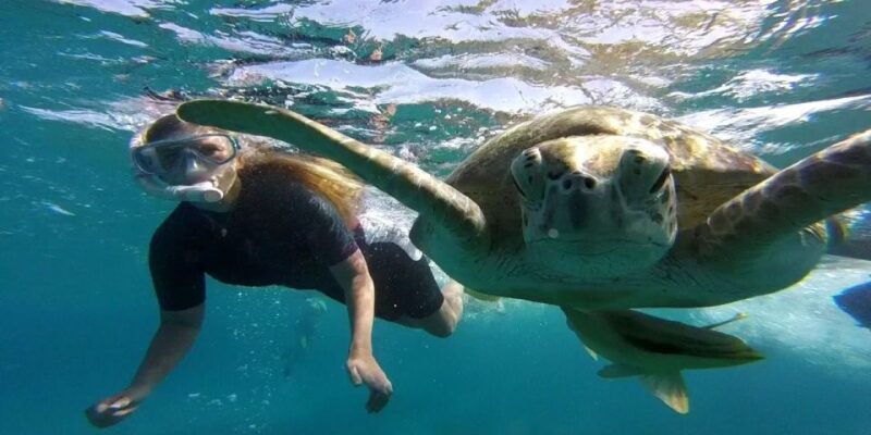Hurghada: Sharm El Naga Tour With Snorkeling & Lunch - Key Points