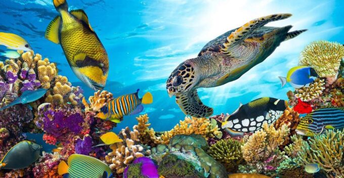 Hurghada: Sharm El Naga Tour With Snorkeling & Lunch - Frequently Asked Questions