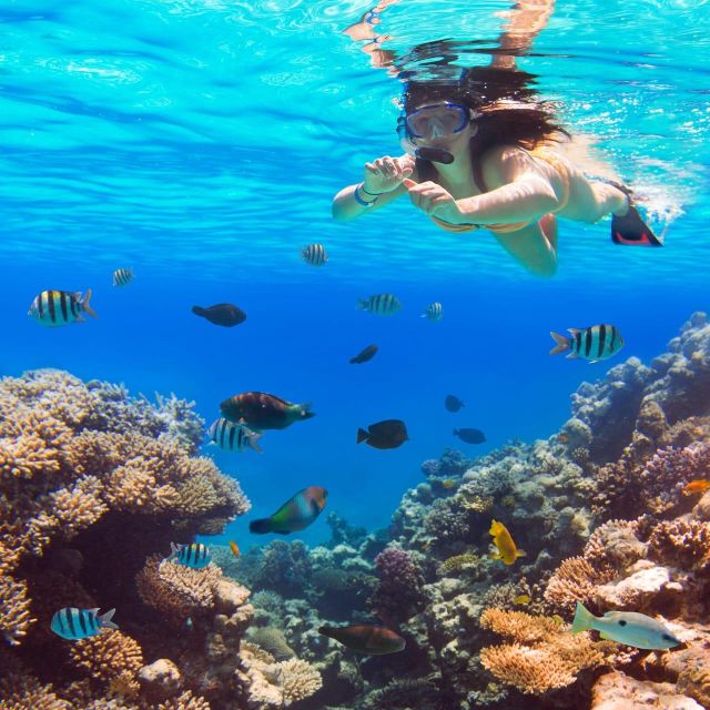 Hurghada: Snorkeling & Diving 6 X 1 Yacht Trip to Orange Bay - Travel and Pickup Arrangements