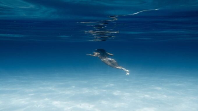 Hurghada: Snorkeling & Diving 6 X 1 Yacht Trip to Orange Bay - Frequently Asked Questions