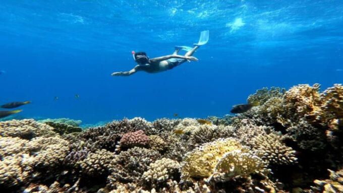 Hurghada: Snorkeling & Diving 6 X 1 Yacht Trip to Orange Bay - Onboard Amenities and Services