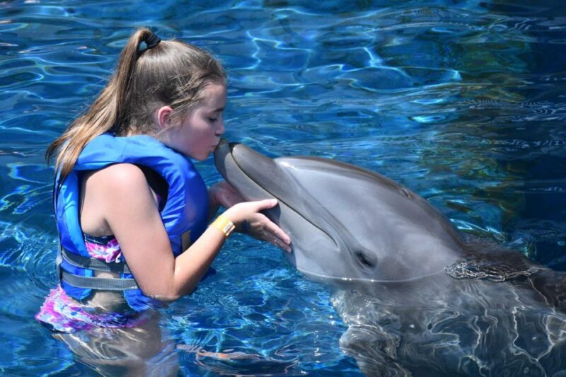 Hurghada: Snorkeling, Dolphin Watching & Banana Boat Fun - Itinerary and Experience