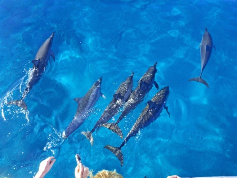Hurghada: Snorkeling Trip & Parasailing With Lunch & Drinks - Optional Add-Ons
