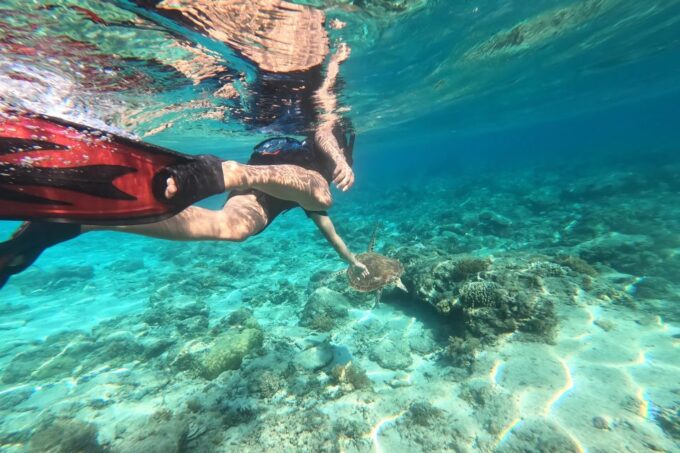 Hurghada: Snorkeling Trip & Parasailing With Lunch & Drinks - Customer Reviews