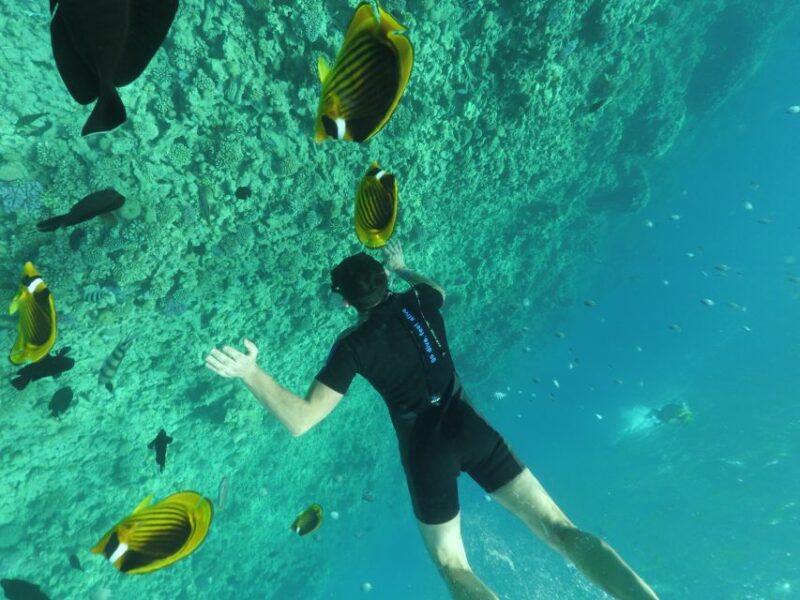 Hurghada: Snorkelling Trip by Speedboat With Hotel Pickup - Customer Reviews and Ratings