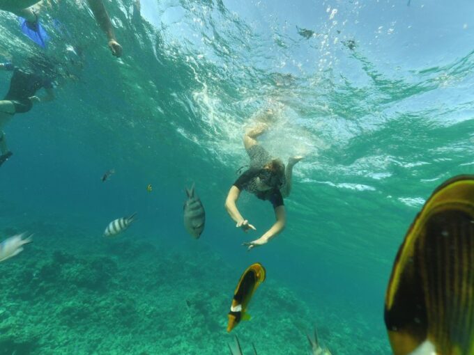 Hurghada: Snorkelling Trip by Speedboat With Hotel Pickup - Highlights and Experiences