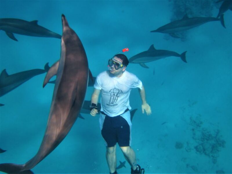 Hurghada: Speedboat Dolphin Watching & Snorkeling With Lunch - Pricing Information