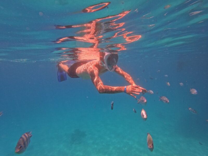 Hurghada: Speedboat Fishing Trip, Trolling & Snorkelling - Customer Feedback