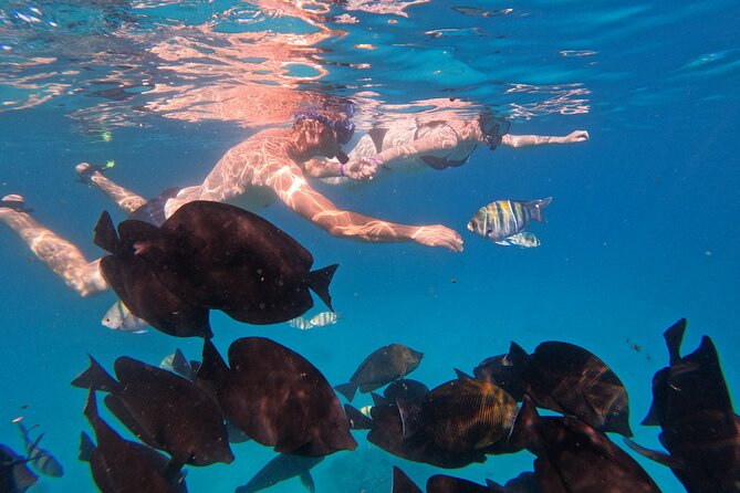 Hurghada Speedboat Trip to Orange Bay and Magawish Islands - Unforgettable Speedboat Adventure
