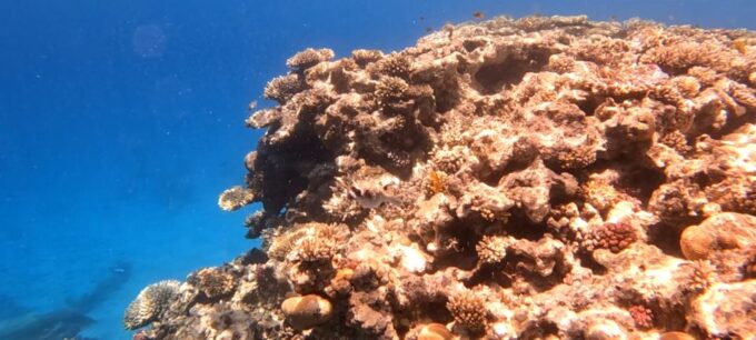 Hurghada: Speedboating, Snorkeling & BBQ On Giftun Islands - Additional Information