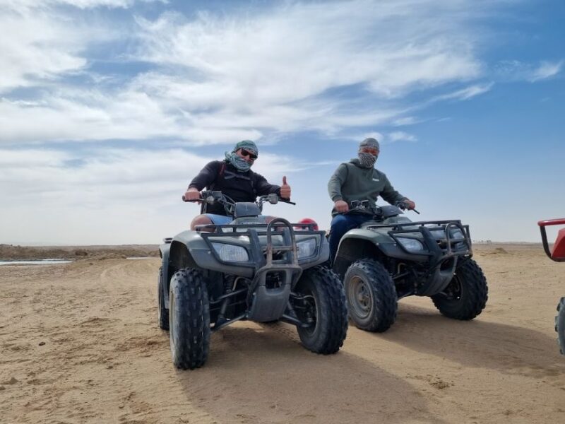 Hurghada: Stargazing by ATV, Camel, Horse, Dinner & Show - Included Activities
