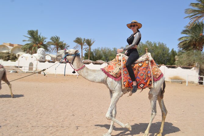 Hurghada: Stargazing, Camel Ride, Quad Bike, Bedouin Dinner, Show - Camel Ride Experience
