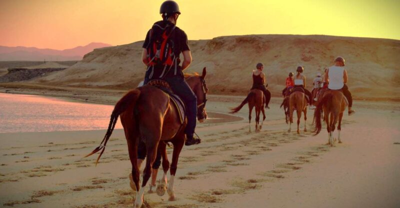 Hurghada: Sunset Sea, Desert Horse W Opt, Dinner, Stargazing - Key Points
