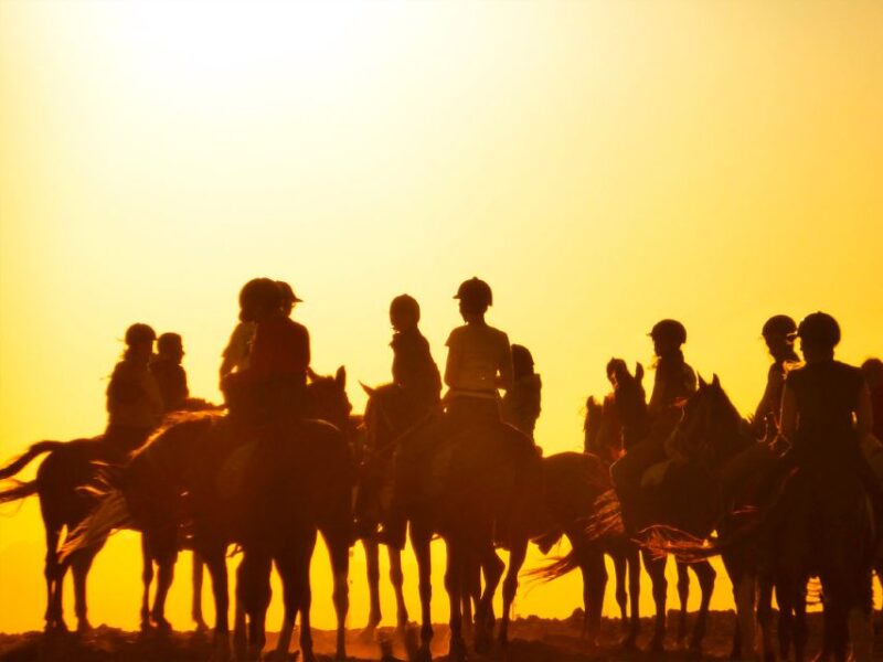 Hurghada: Sunset Sea, Desert Horse W Opt, Dinner, Stargazing - Itinerary Highlights