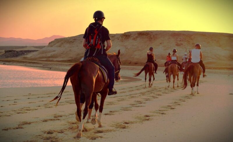 Hurghada: Sunset Sea, Desert Horse W Opt, Dinner, Stargazing - Available Options
