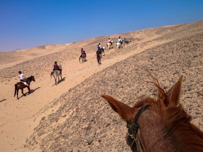 Hurghada: Sunset Sea, Desert Horse W Opt, Dinner, Stargazing - Included Experiences