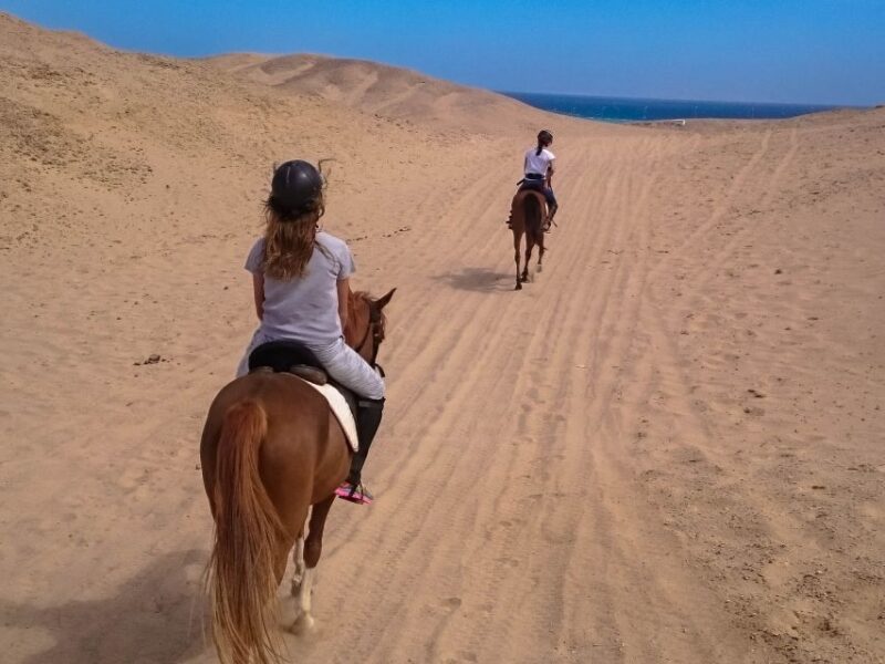 Hurghada: Sunset Sea, Desert Horse W Opt, Dinner, Stargazing - Pickup and Drop-off