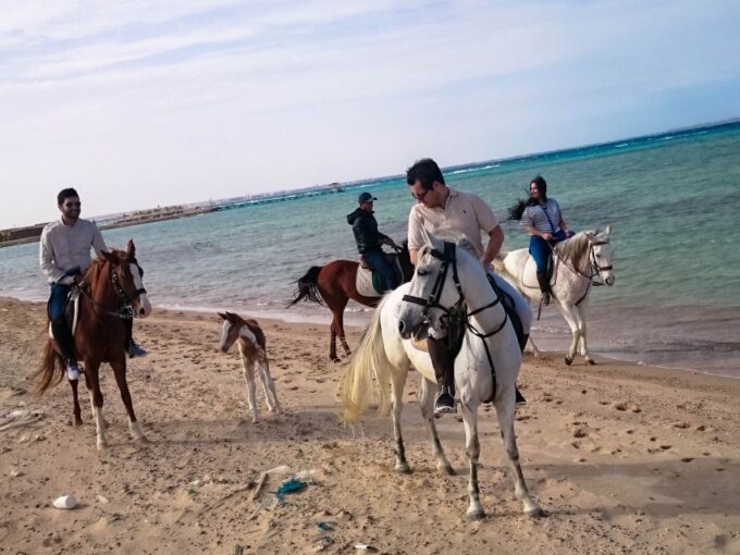 Hurghada: Sunset Sea, Desert Horse W Opt, Dinner, Stargazing - Suitability and Precautions