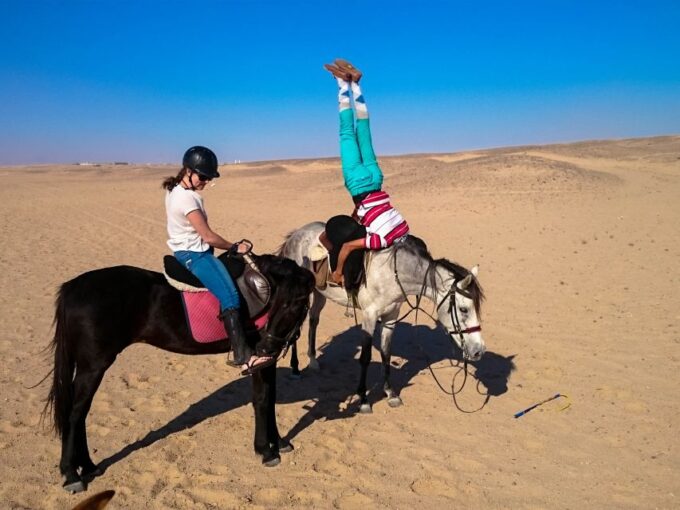 Hurghada: Sunset Sea, Desert Horse W Opt, Dinner, Stargazing - Frequently Asked Questions
