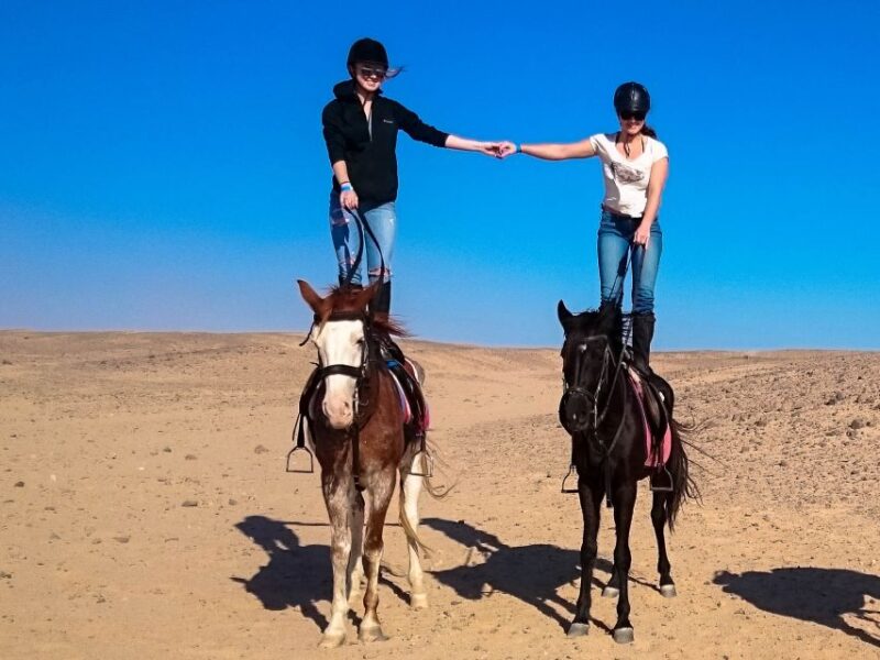 Hurghada: Sunset Sea, Desert Horse W Opt, Dinner, Stargazing - Important Information