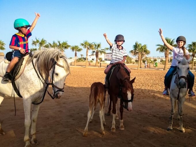 Hurghada: Sunset Sea, Desert Horse W Opt, Dinner, Stargazing - Rating and Reviews