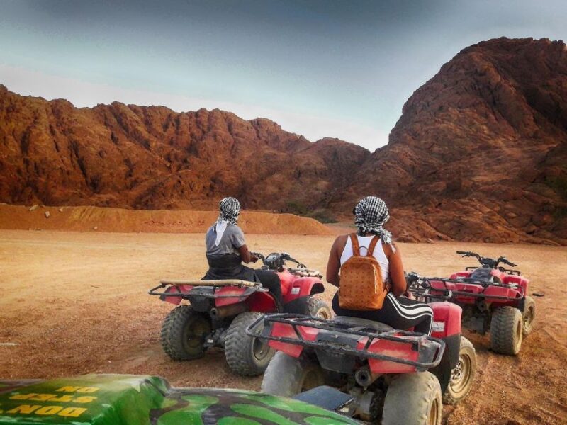 Hurghada: VIP Quad, Sea, Camel, Safari, Stargazing & Dinner - Customer Feedback