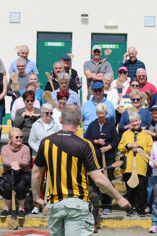 Hurling Experience in Kilkenny City - Experience Details