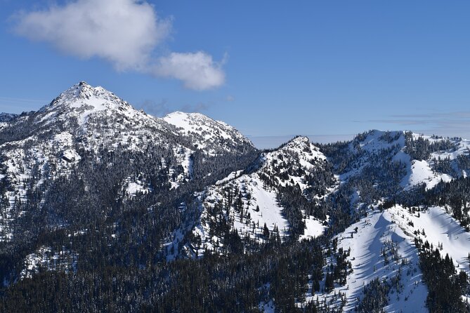 Hurricane Ridge Guided Snowshoe Tour in Olympic National Park - Additional Information