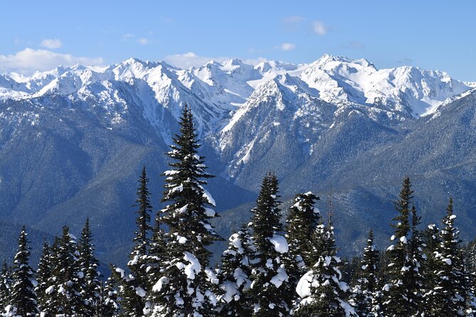 Hurricane Ridge Guided Snowshoe Tour in Olympic National Park - Guides and Safety