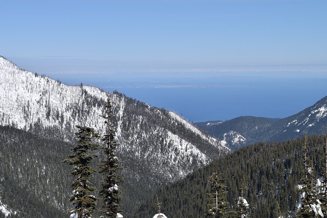 Hurricane Ridge Guided Snowshoe Tour in Olympic National Park - Packing and Preparation