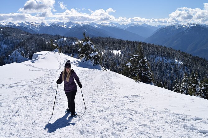 Hurricane Ridge Guided Snowshoe Tour in Olympic National Park - Booking and Reservations