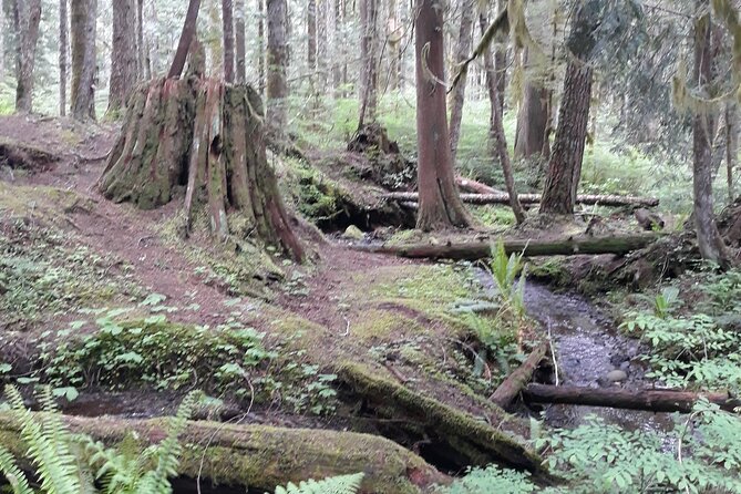 Hurricane Ridge Olympic National Park From Seattle - Included Amenities