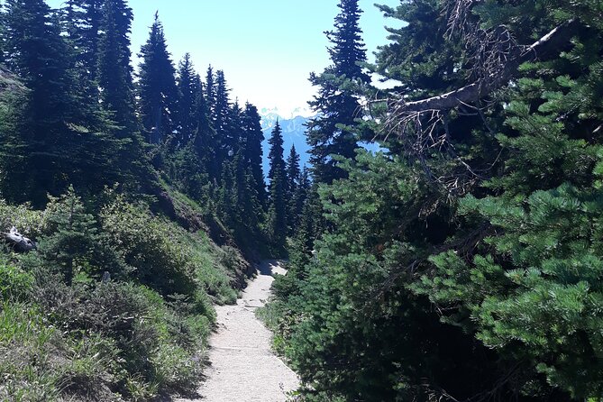 Hurricane Ridge Olympic National Park From Seattle - Additional Information