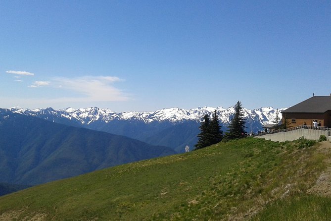 Hurricane Ridge Olympic National Park From Seattle - Cancellation Policy