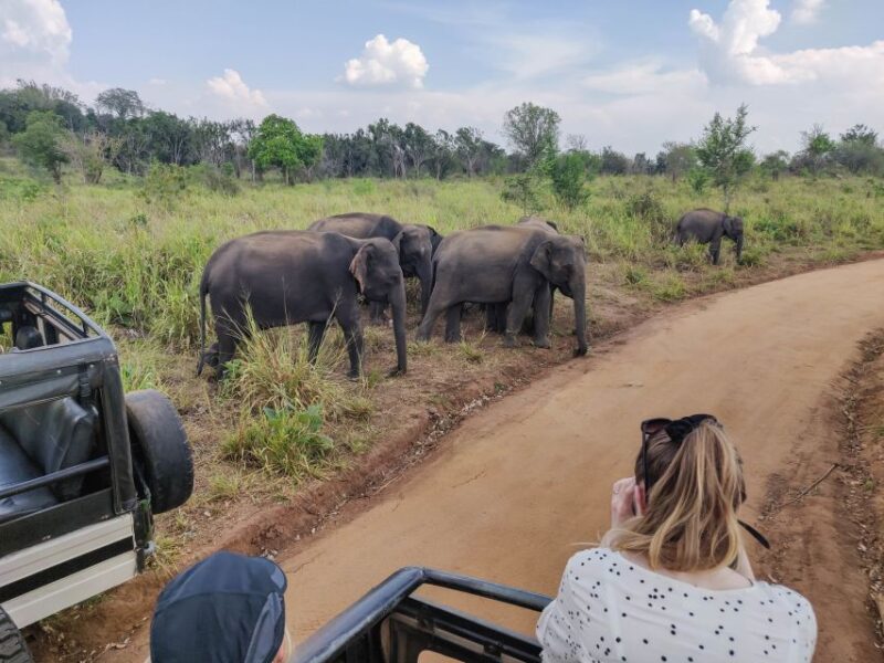 Hurulu Eco Park: 3-Hour Morning or Evening Safari - Key Points