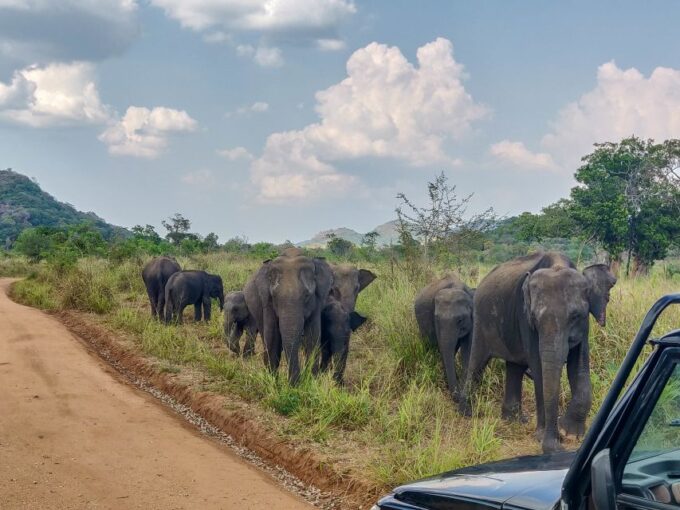 Hurulu Eco Park: 3-Hour Morning or Evening Safari - Frequently Asked Questions